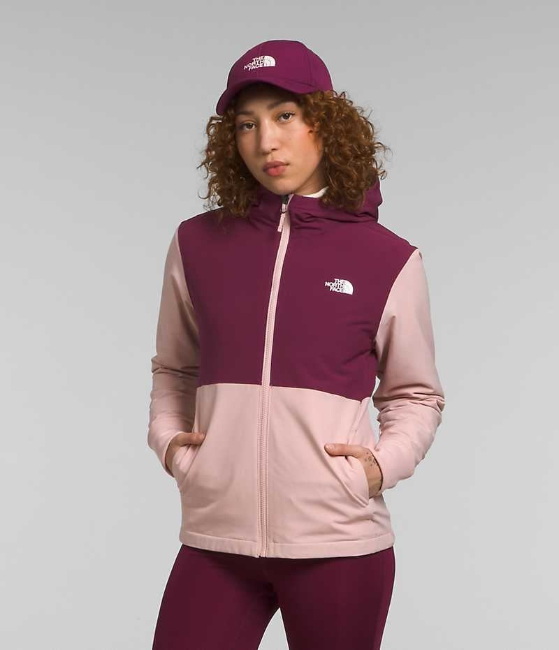 The North Face Shelbe Raschel Hoodie Softshell Ceket Kadın Pembe | TÜRKIYE XINQ