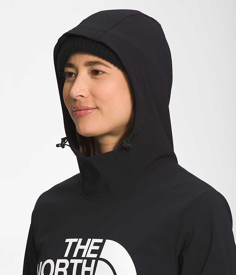 The North Face Tekno Pullover Kapşonlu Kadın Siyah | TÜRKIYE JSZD