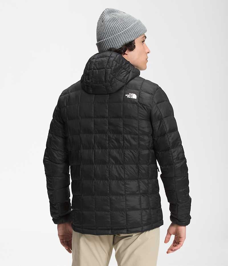 The North Face ThermoBall™ Eco Hoodie 2.0 Aşağı Ceket Erkek Siyah | TÜRKIYE WEUH