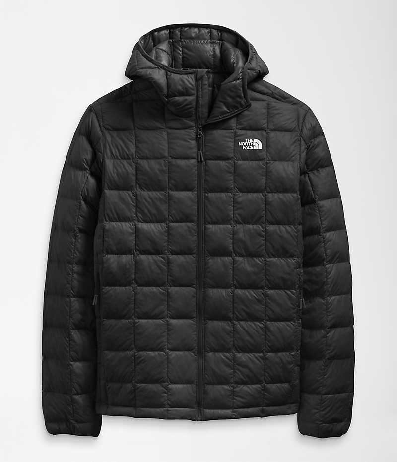 The North Face ThermoBall™ Eco Hoodie 2.0 Aşağı Ceket Erkek Siyah | TÜRKIYE WEUH