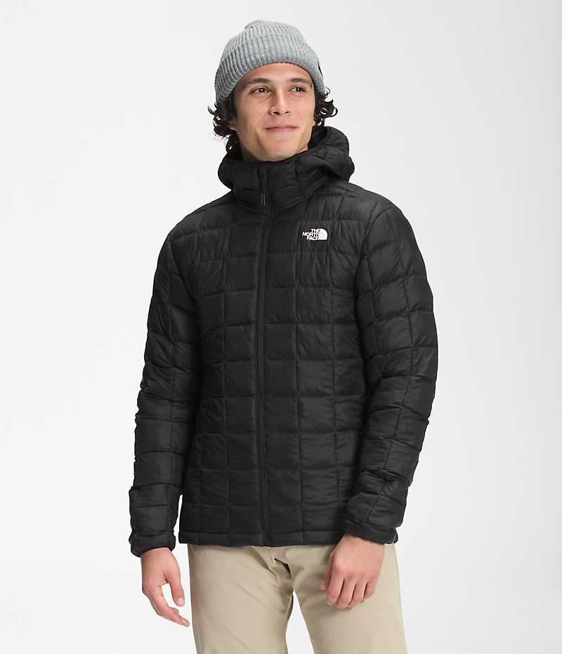 The North Face ThermoBall™ Eco Hoodie 2.0 Aşağı Ceket Erkek Siyah | TÜRKIYE WEUH