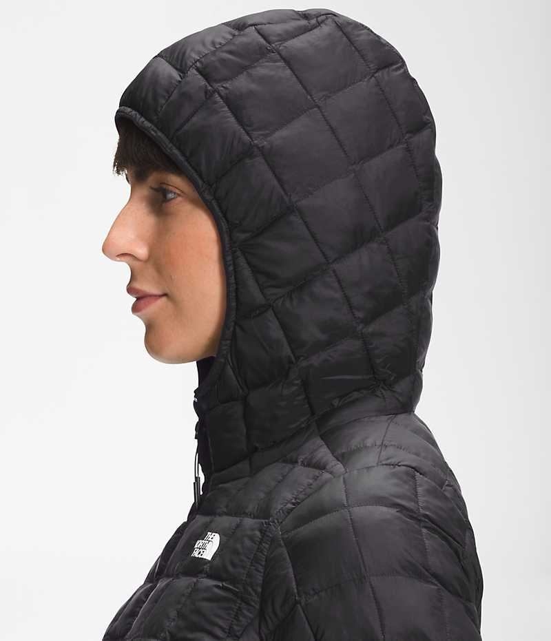 The North Face ThermoBall™ Eco Hoodie 2.0 Aşağı Ceket Kadın Siyah | TÜRKIYE QUST