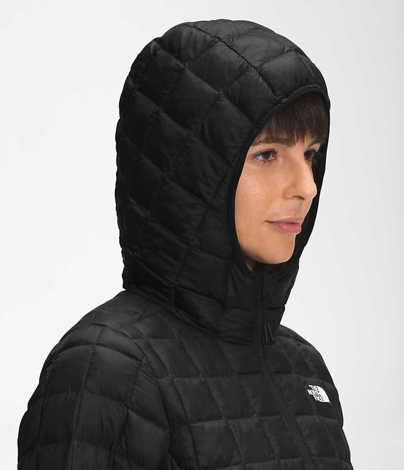 The North Face ThermoBall™ Eco Parka Kadın Siyah | TÜRKIYE MJTL